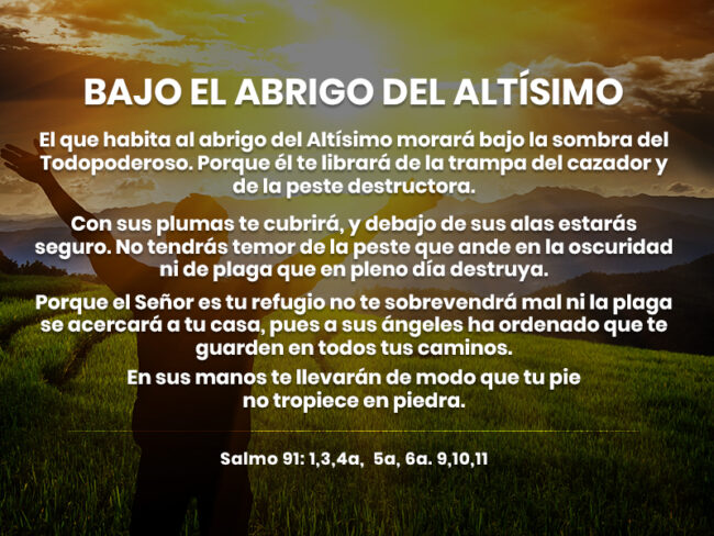 EDIT-copy (1)