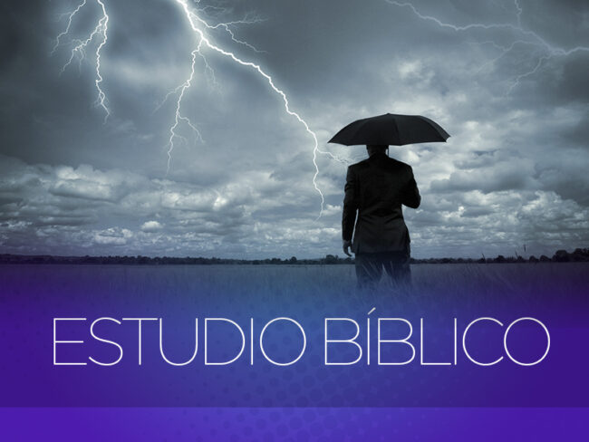 Paz estudio
