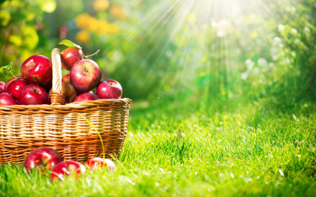 Apple